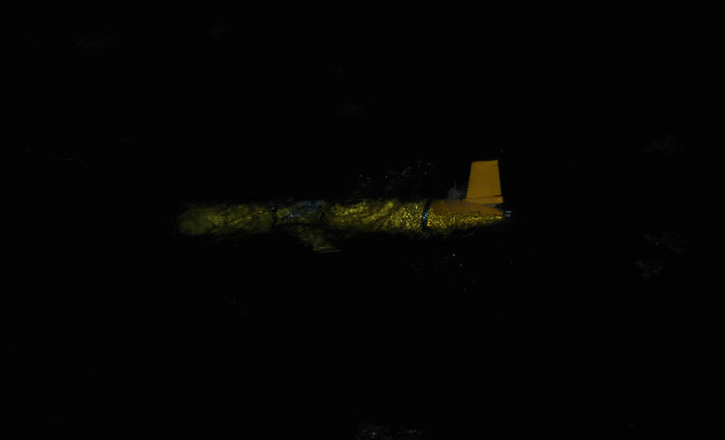 Spotted! Even though the strobe on NG301 was broken, the <em>Okeanos</em> team was still able to spot the glider in the bright moonlight, with a little help from a night vision scope.