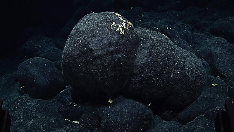 Photo of an intact bulbous pillow lava from a lava flow that was surveyed by the Deep Discoverer on August 13 along a ridge of the Pearl and Hermes Atoll.
