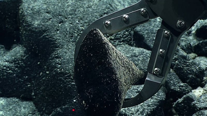 A close-up of the Deep Discoverer's stainless steel custom sampling claw, holding a rock sample.