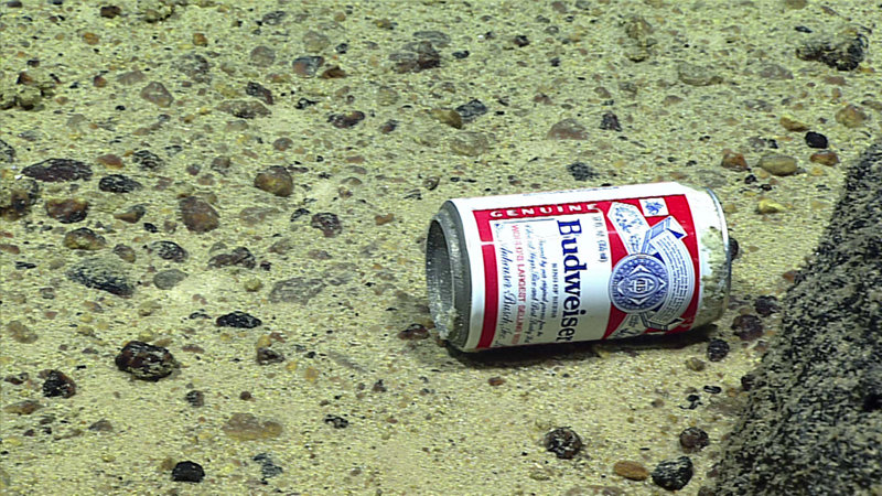 A beer can seen at 3,780 meters depth at Enigma Seamount.