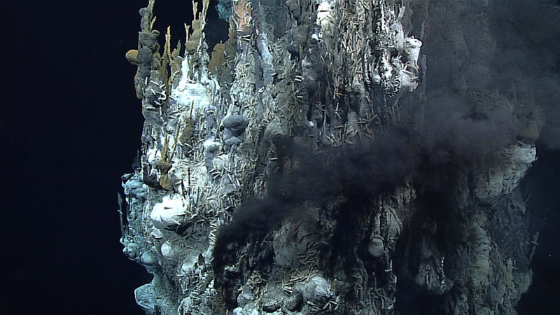 Actively venting hydrothermal vent chimney shrouded in black smoke and covered with vent animals.