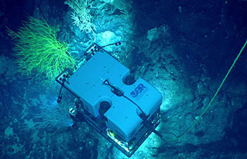 Why Are We Exploring the Musicians Seamounts?