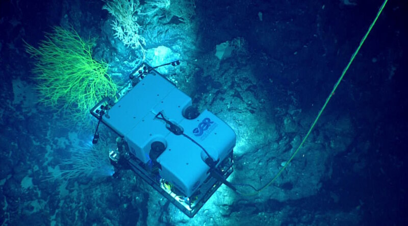 During the expedition, NOAA’s ROV Deep Discoverer will be used to acquire high-definition visual data and collect limited samples in poorly explored areas near the boundaries of Papahānaumokuākea Marine National Monument and in the Musicians Seamounts.