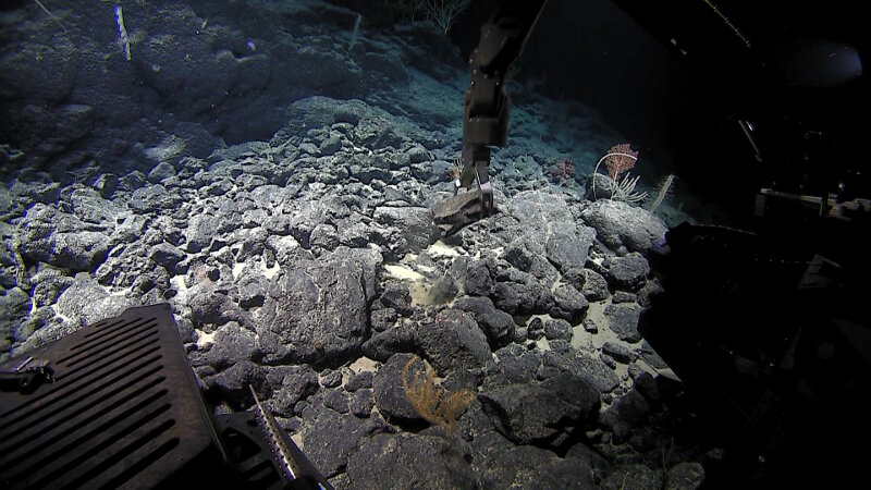 Rock samples can tell us a lot about the geologic origin of the seamount or ridge they were collected from.
