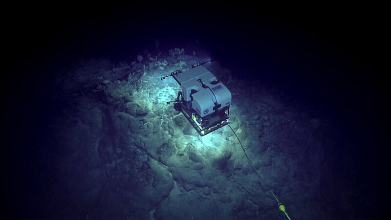 ROV Seirios acts as a brilliant source of light in the “night sky” of the ocean.