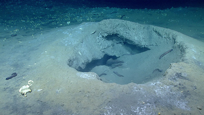 Deep Discoverer encountered several of these depressions or pockmarks that are likely associated with the release of methane from the seafloor.