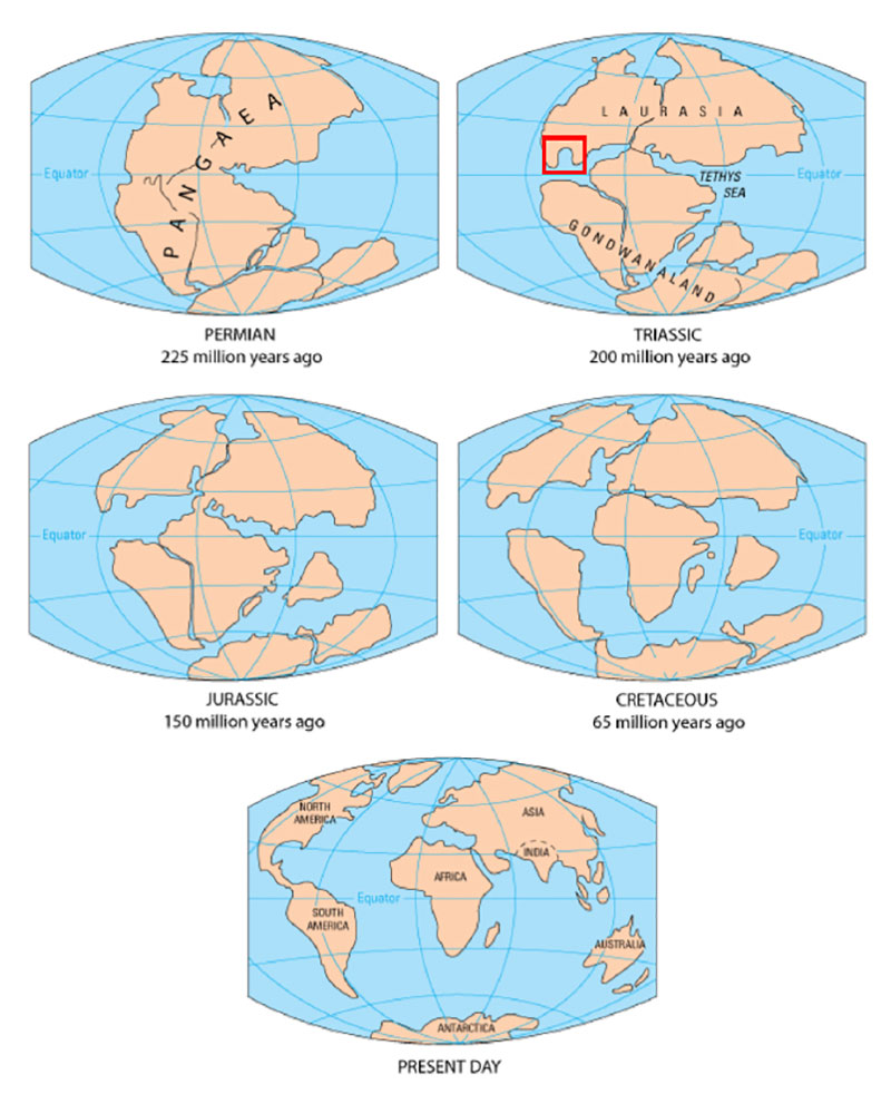 Diagram of continental drift over the past 225 million years. The red square indicates the position of the early Gulf of Mexico basin after Pangea broke apart into Laurasia and Gondwana.