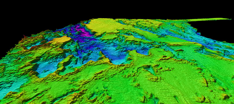 Multibeam bathymetry collected during leg 1 of this expedition offshore the southeastern United States revealed several interesting features that will be investigated via remotely operated vehicle exploration during Leg 2.