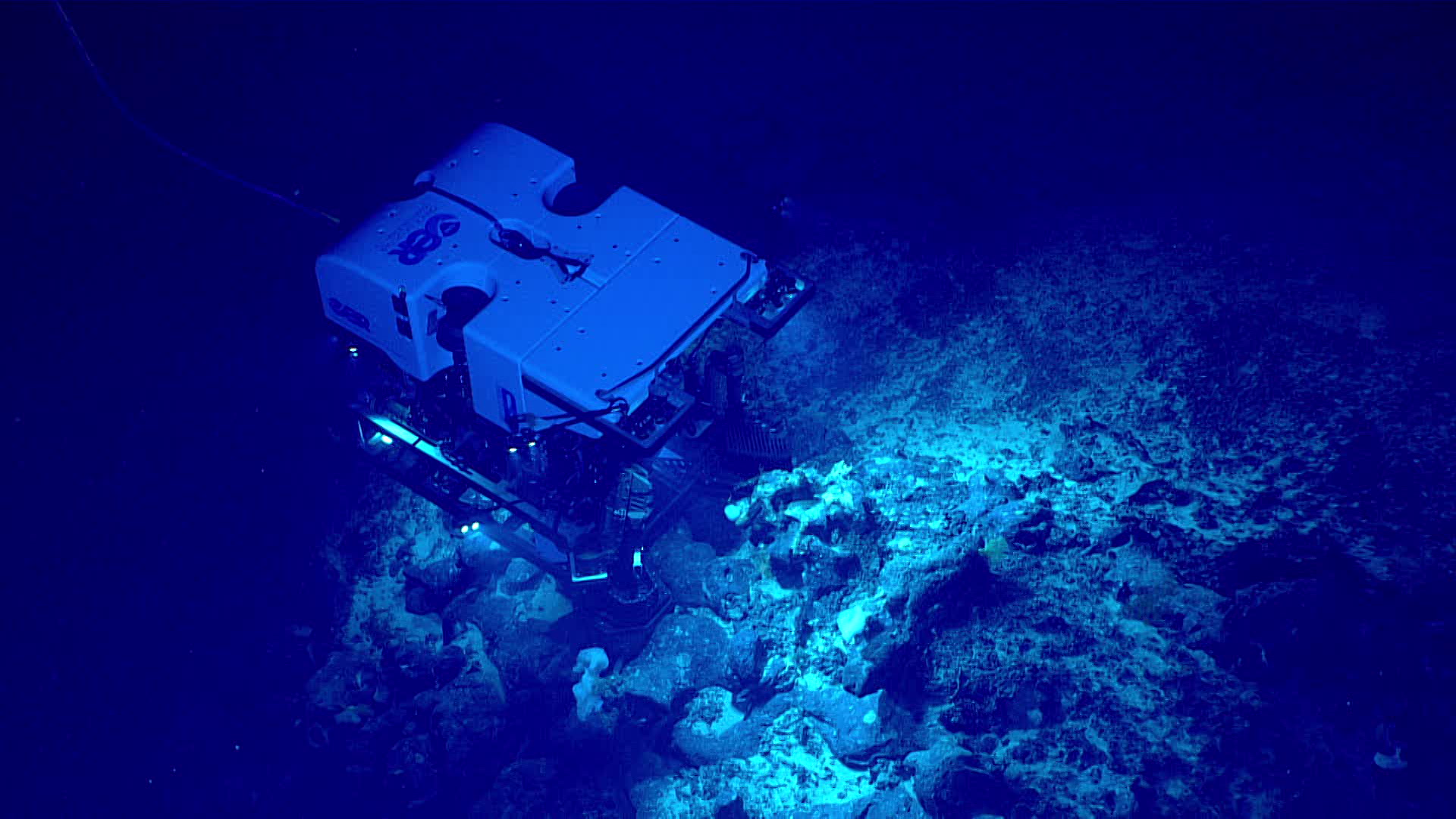 Remotely operated vehicle Deep Discoverer images a coral community during the second Voyage to the Ridge 2022 expedition.
