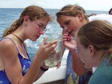 girl scouts and water sample.