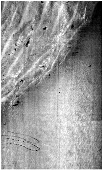 Laser image of sand waves and seafloor