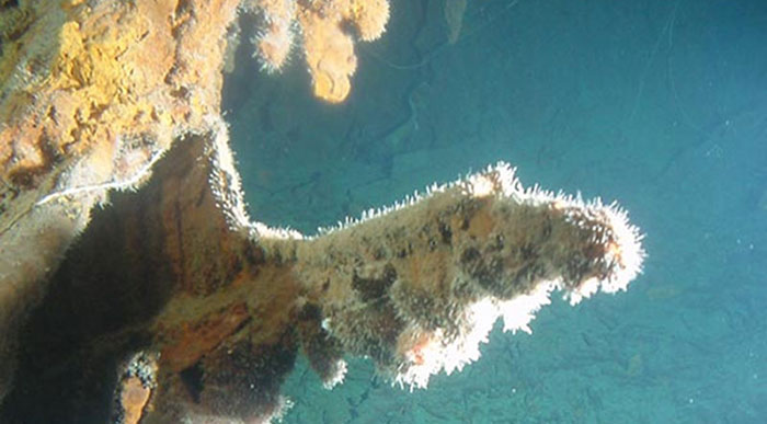 These essays share more detail and science behind exploring this shipwreck.