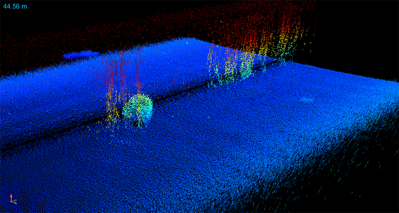 Sidescan sonar imagery from a VT690 autonomous underwater vehicle showing distinct acoustic scattering features, including rising bubble plumes at methane seeps and a school of fish. Image courtesy of Characterizing Variability in Pacific Northwest Methane Seeps Using a Fleet of Small AUVs.