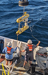 Crew members on NOAA Ship Okeanos Explorer deploying autonomous underwater vehicle Mola Mola.