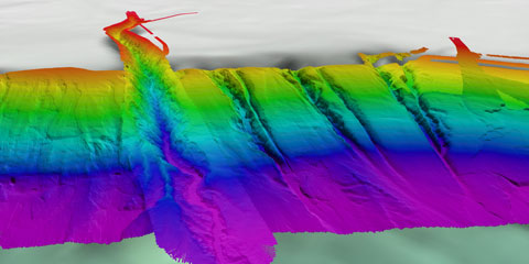 A multibeam sonar image of canyons off the U.S. northeast coast in the Atlantic Ocean.