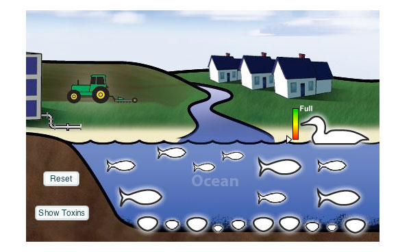 In this activity you will explore the biomaginification of toxic chemical, mercury, through a simple marine food chain. In the simulation below, the marine environment is contaminated with mercury. Although all animals are exposed to this toxic chemical, seabirds are more severely affected than other organisms.