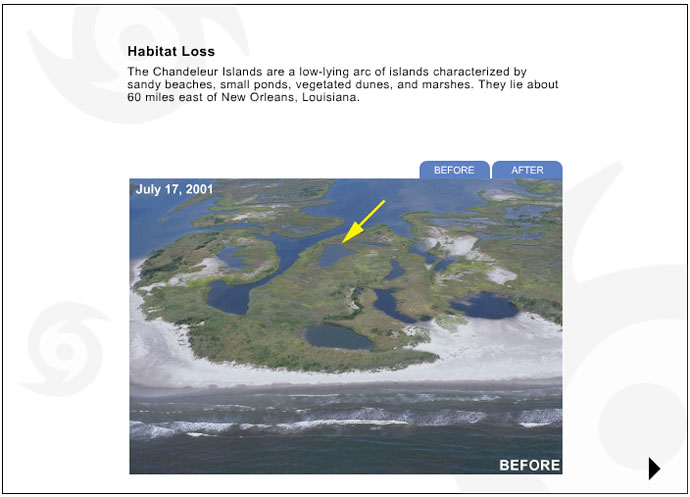 In this activity, you will examine before and after photographs taken in areas affected by Katrina for indications of the hurricane's environmental impact.