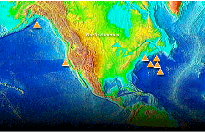 Many thousands of seamounts dot the ocean floor, but only a handful have been explored in any way. These mysterious peaks stand as both a challenge and an opportunity to scientists. The patterns and placement of seamounts help illuminate the geologic forces at work beneath the sea. Their diverse and abundant animal communities offer insights into evolution and adaption. Watch as researchers from the National Oceanographic and Atmospheric Administration travel to the far reaches of the sea to learn more about seamounts and their unusual faunas.