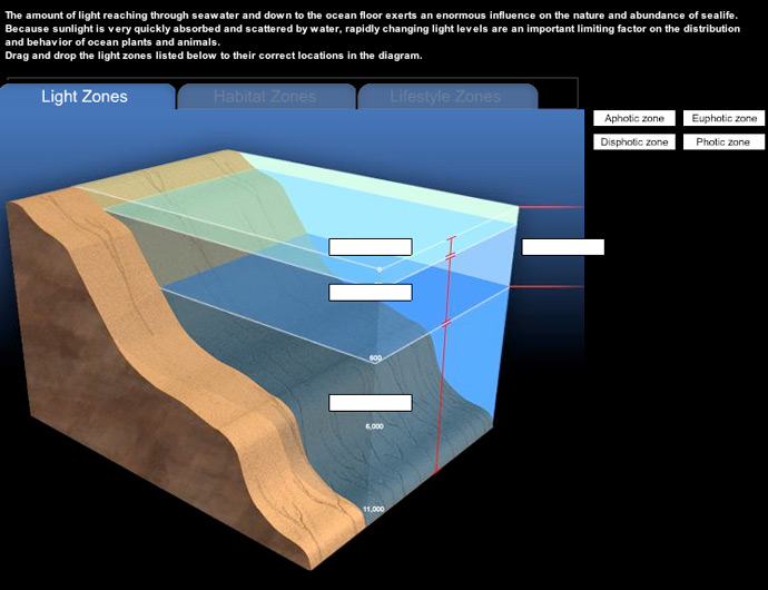 Noaa Ocean Explorer Education Multimedia Discovery Missions