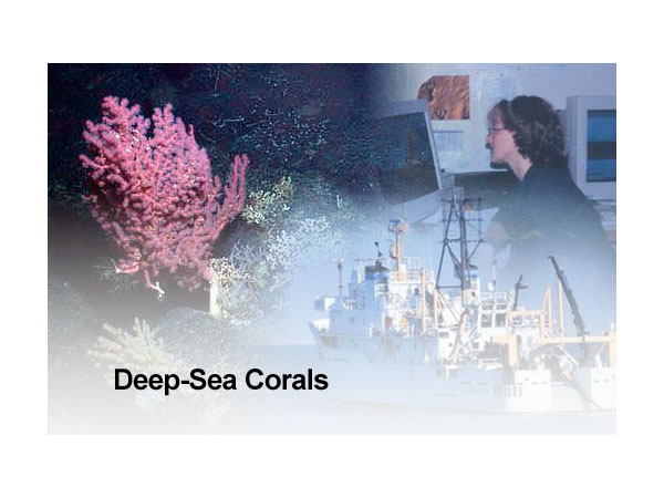 Deep-Sea Corals