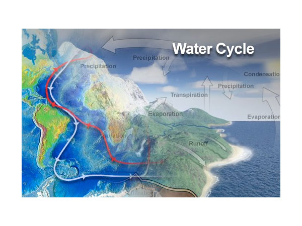 The Water Cycle