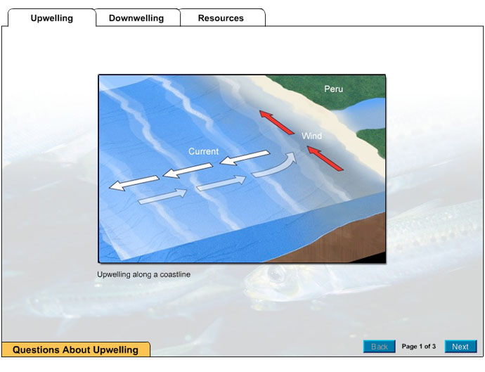 In this activity, you will explore the differences between upwelling and downwelling. Study the graphics and photographs illustrating upwelling and downwelling, then answer the questions about each process. Maps of the world’s major surface and deep currents are included as resources to help you understand where and how upwelling and downwelling occur.