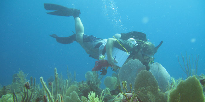 Marine Ecologist