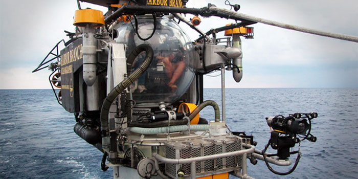 Edie talks about two well-known submersibles: Alvin and Johnson Sea Link.