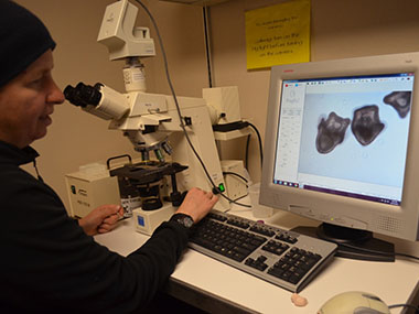 Dr. Kelley imaging urchin larvae, Sterechinus neumayeri, for morphometric analyses.