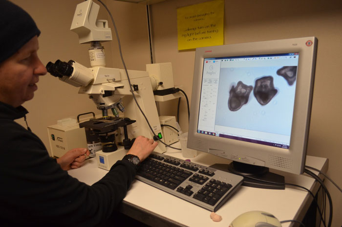 Dr. Kelley imaging urchin larvae, Sterechinus neumayeri, for morphometric analyses.
