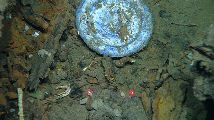 Microbial Stowaways: Exploring Shipwreck Microbiomes in the Deep Gulf of Mexico
