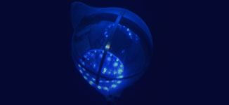 What is bioluminescence?: Ocean Exploration Facts: NOAA Office of