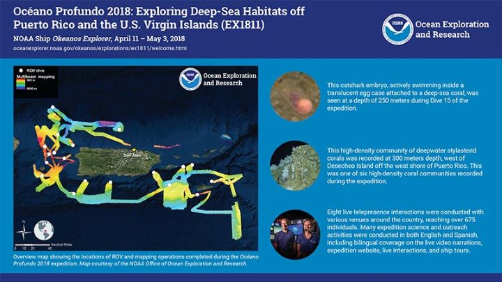 Océano Profundo 2018: Exploring Deep-sea Habitats off Puerto Rico & the U.S. Virgin Islands