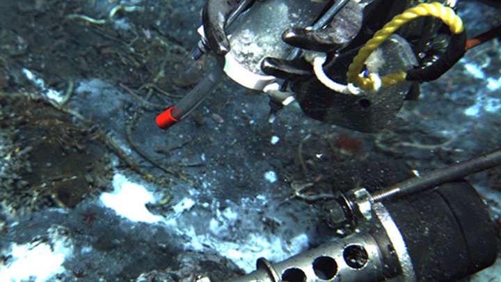 Searching for New Pharmaceutical Drugs from Hydrothermal Vent Animals and Microbes