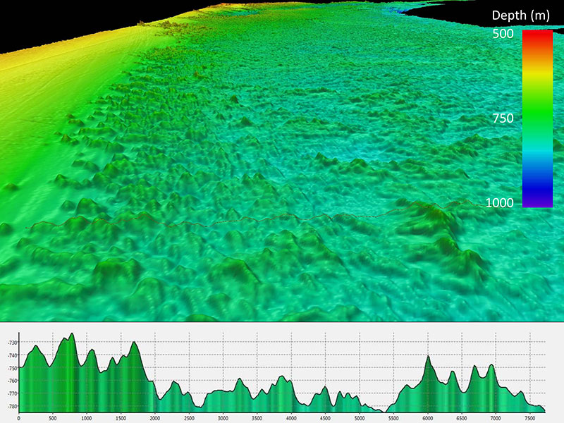 Multibeam bathymetry collected by NOAA Ship Okeanos Explorer showing the three-dimensional topography of Million Mounds.
