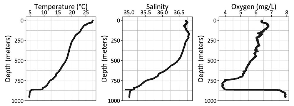These three line graphs show the temperature, salinity, and concentration as derived from the environmental sensors on the CTD rosette. The data pictured here was collected from one CTD rosette cast conducted during the Windows to the Deep 2019 expedition. During the cast, the temperature got much colder the deeper down the CTD rosette went. The salinity graph is showing a similar trend—the water is saltier at the surface because water at the surface evaporates, leaving the salts behind. For the oxygen graph, a greater number means there is more dissolved oxygen in the water. In this figure, we can see the oxygen minimum zone is about 800 meters (2,624 feet). Once the CTD rosette passes out of this zone, the oxygen levels spike again at around 1,000 meters (3,280 feet).