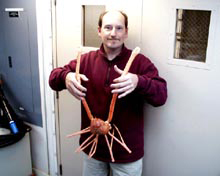 Dr. Stevens holding a large-clawed spider crab, Macroregonia macrochiera