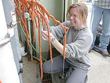 Collecting mucus from deep-sea coral
