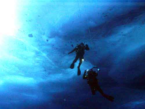 Photo of two divers under the ice