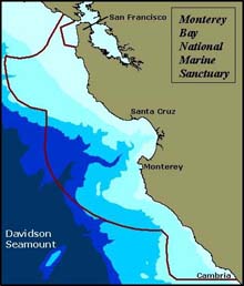 Cruise Blog: Exploring sea life over Davidson Seamount: a research cruise  in the Monterey Bay National Marine Sanctuary (July 15-24, 2018) – SIMoN