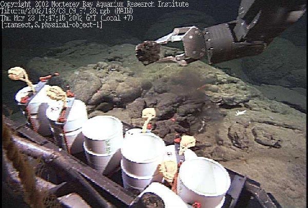 Tiburon placing rock in sample drawer
