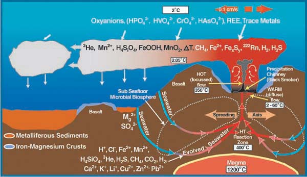 Diagram of chemical exchange between the ocean crust and seawater