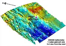 A 3-d view of the SM2000 multibeam bathymetry collected by ABE in the Magic Mountain Area of Explorer Ridge