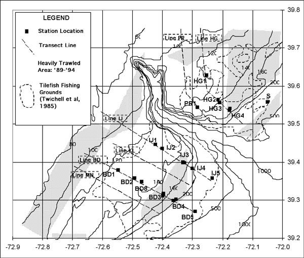 Hudson Canyon Shelf/Upper Slope Area sampling transects and station positions showing relationship to depth contours, tilefish fishing grounds, and heavily trawled areas (1989-94).