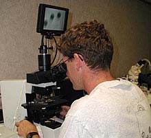 Dr. Bruno Pernet examining tubeworm