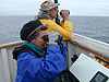 looking for seabirds