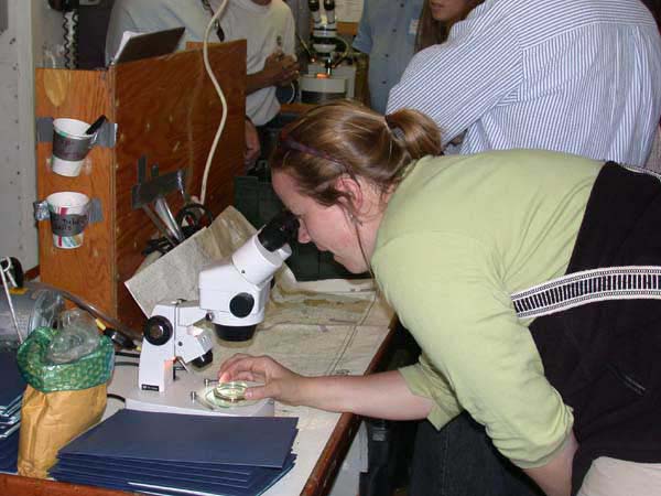Jenny Stock using microscope