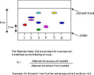 cartoon of a thin layer plate