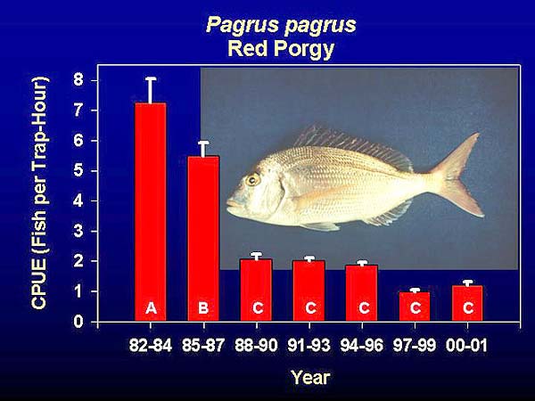 graph of catch per unit for red porgy