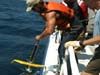 Deployment of the sonar fish